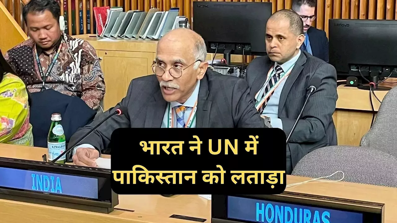 शरारत, दुष्प्रचार... भारत ने UNSC में पाकिस्तान को धो डाला, दुनिया के सामने जमकर खरीखोटी सुनाई