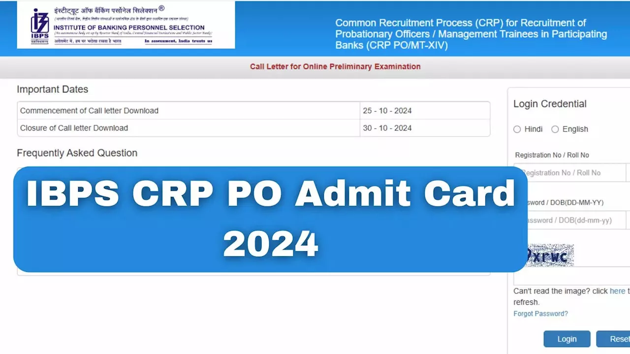 IBPS CRP PO 2024 Admit Card: आईबीपीएस पीओ CRP XIV एडिमट कार्ड जारी, सीधे ibpsonline.ibps.in से से करें डाउनलोड