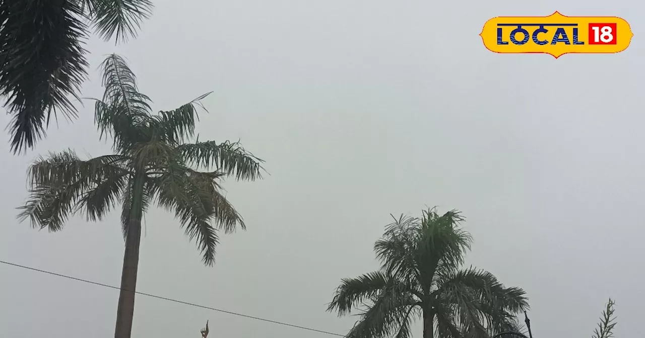 UP Weather: दाना तूफान ने बदला यूपी का मौसम, 3 दिनों तक इन जिलों में तेज हवा के साथ बारिश का अलर्ट