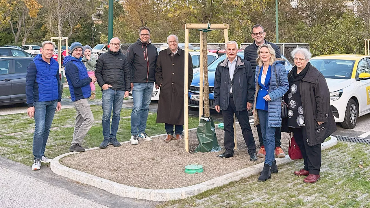 18 Bäume für den Maria Enzersdorfer Theißplatz