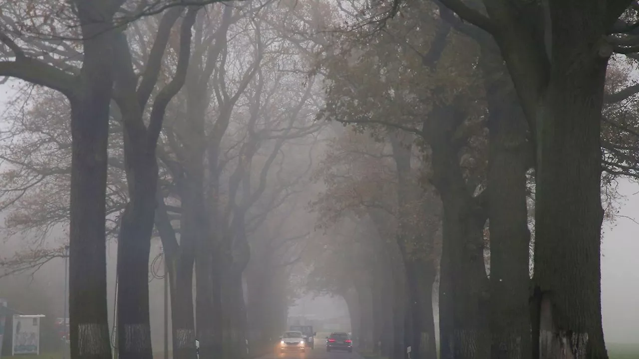 Berlin & Brandenburg: Herbstwetter in Berlin und Brandenburg: Neblige Aussichten