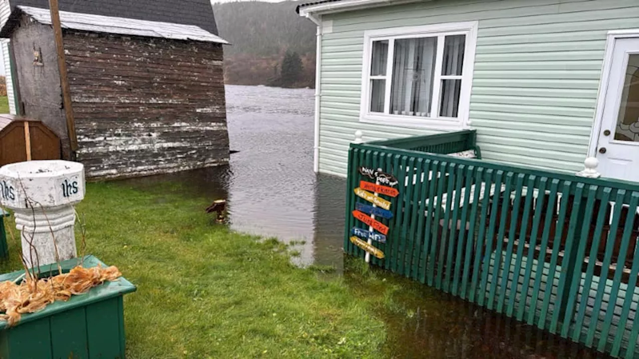 Multiple areas see 100+ mm of rain in southeastern Newfoundland