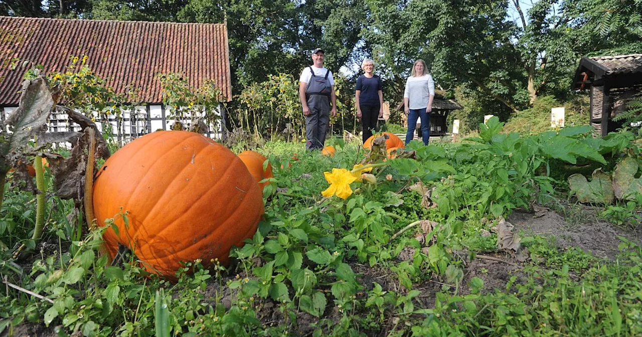 Halloween im Kreis Minden-Lübbecke: Alle Veranstaltungen und Gruseltipps im Überblick