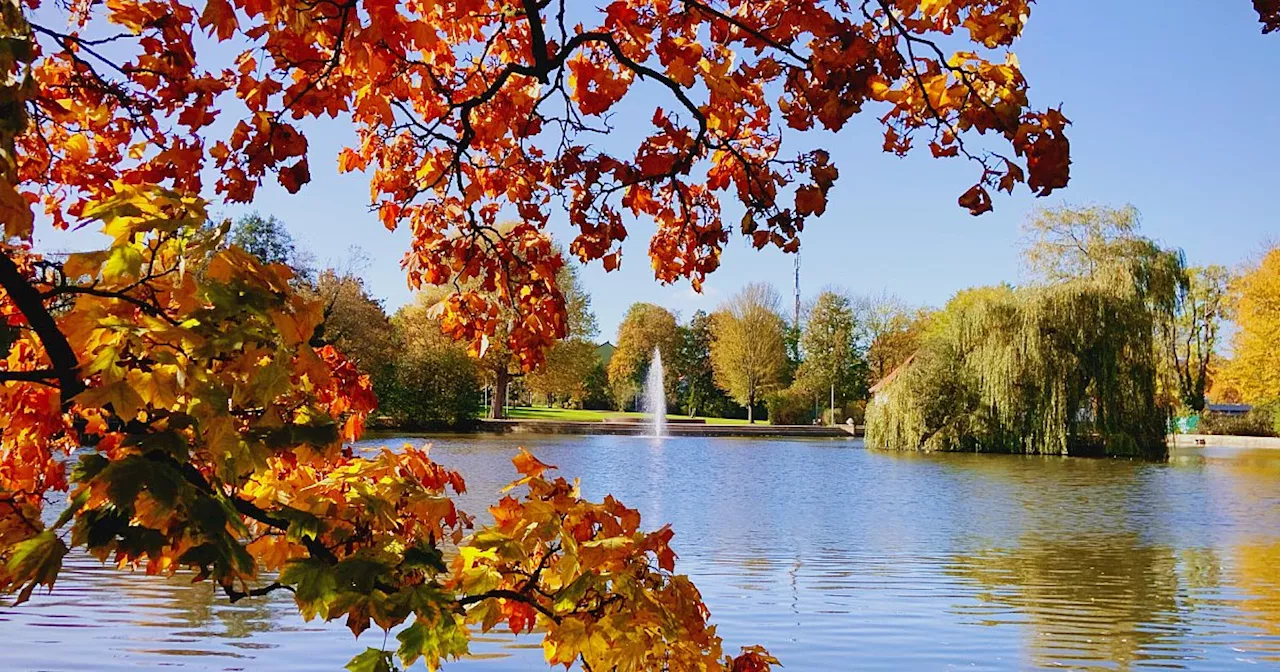 So golden ist der Herbst im Bünder Land