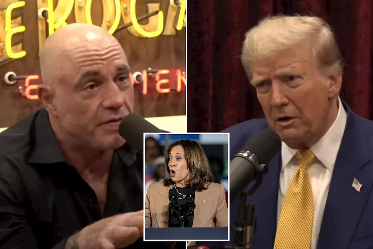 Trump tells Joe Rogan the comedian should ‘endorse’ him: ‘You cannot be voting for Kamala’