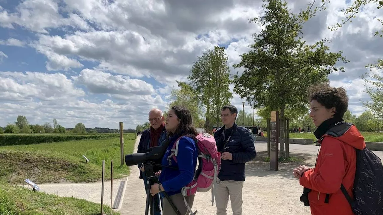 Au Mont-Saint-Michel, les balades natures se poursuivent en automne et hiver