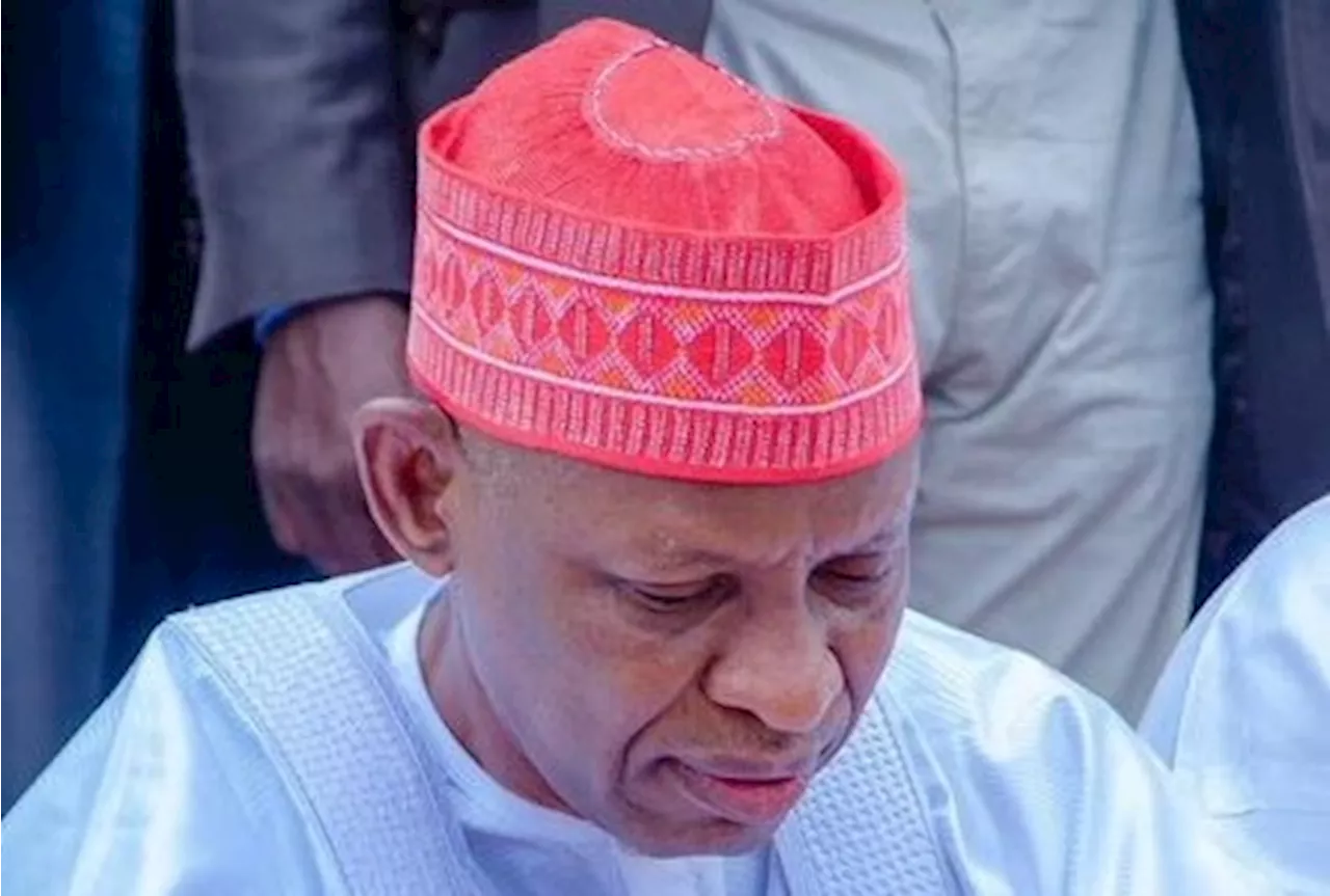 Kano Local Government Elections- Court sacks all NNPP candidates