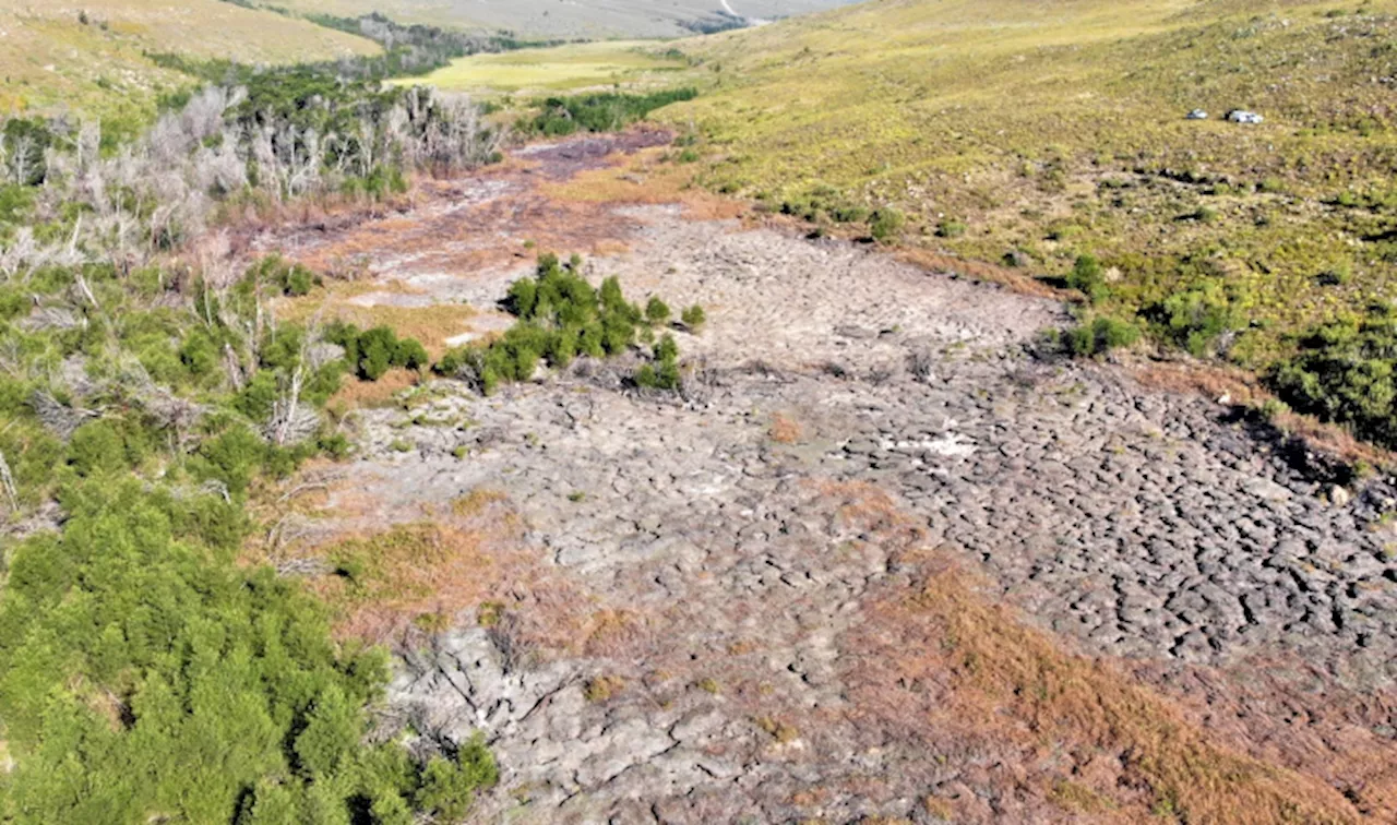 Burning peatland leaves Sekgosese residents fearing for their lives - SABC News