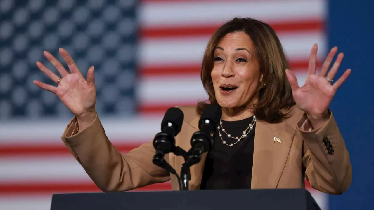 Kamala Harris has a man problem – and it will cost her the election