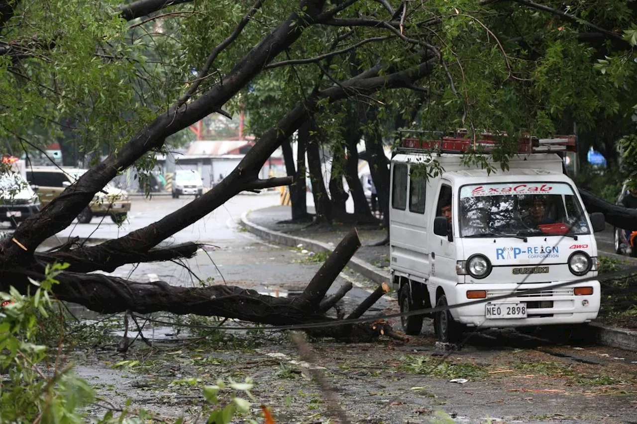 DPWH deploys teams, equipment to storm-hit areas; 68 roads reopened