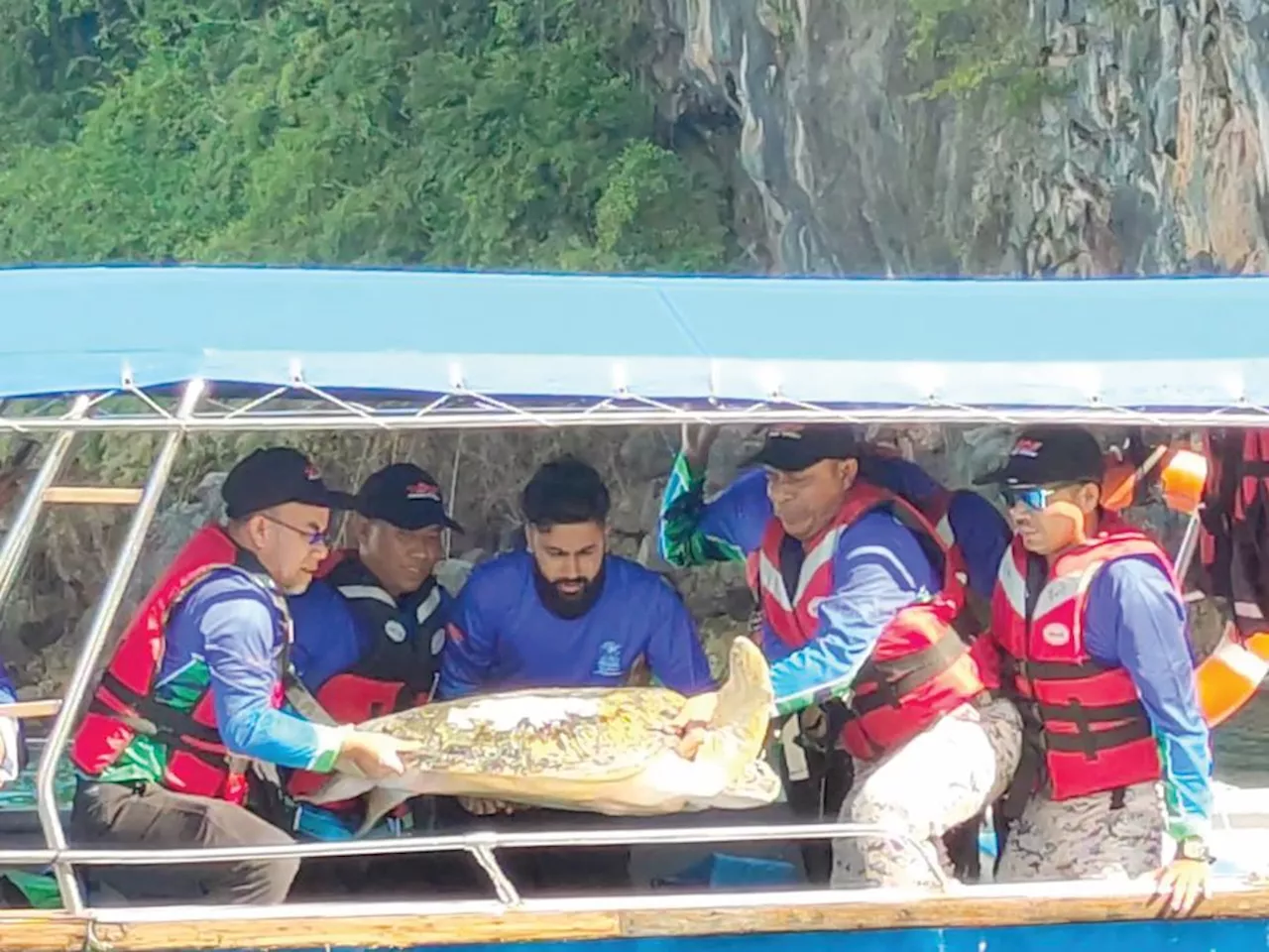 ‘Emelda’ sudah pulih, dilepas semula di perairan Langkawi