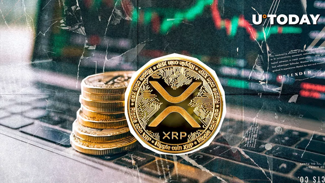 XRP Skyrockets 58% in Volume Amid $377 Million Crypto Market Sell-Off