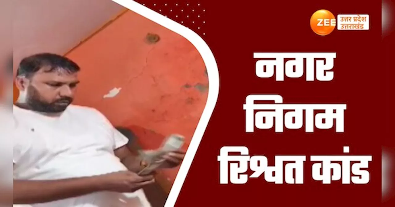 Video: रिश्वतखोर कर निरीक्षक कैमरे में कैद, वीडियो वायरल, नामांतरण के नाम पर घूस लेते दिखे