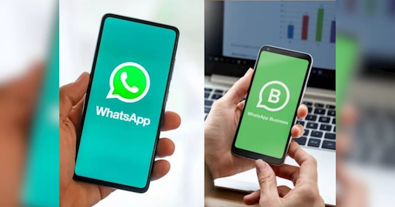 WhatsApp और WhatsApp Business में क्या होता है अंतर, समझ लें ये जरूरी बात