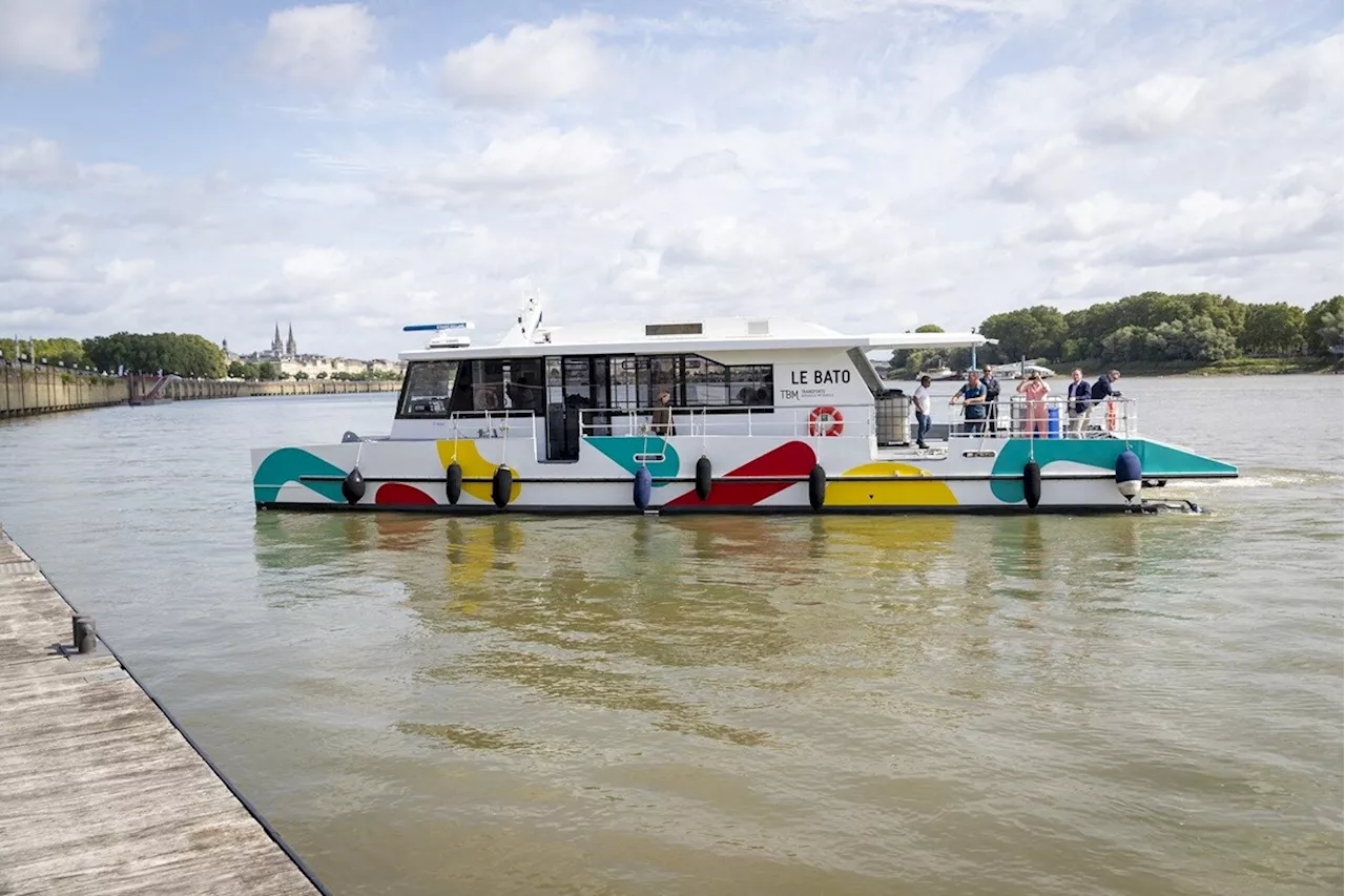 Trois lignes de Bato au lieu d'une à Bordeaux : voici ce qu'on peut faire et ce qui est impossible