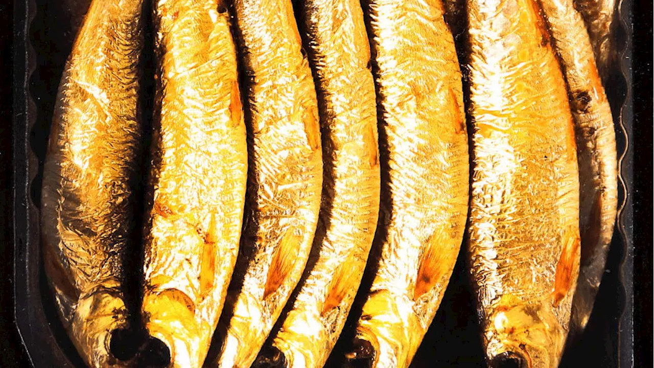 Listerien: Hersteller Ostsee Fisch ruft Fisch wegen Bakterien zurück