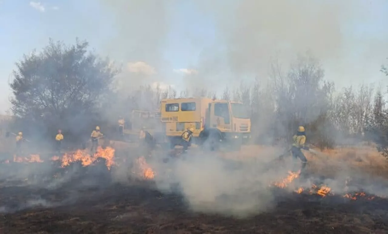 Mpumalanga has the most fire outbreaks in South Africa