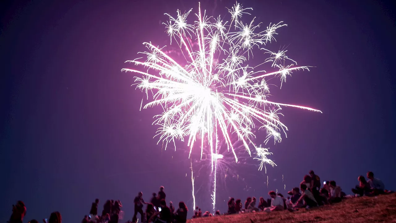 Keep your pets safe this fireworks season with these tips