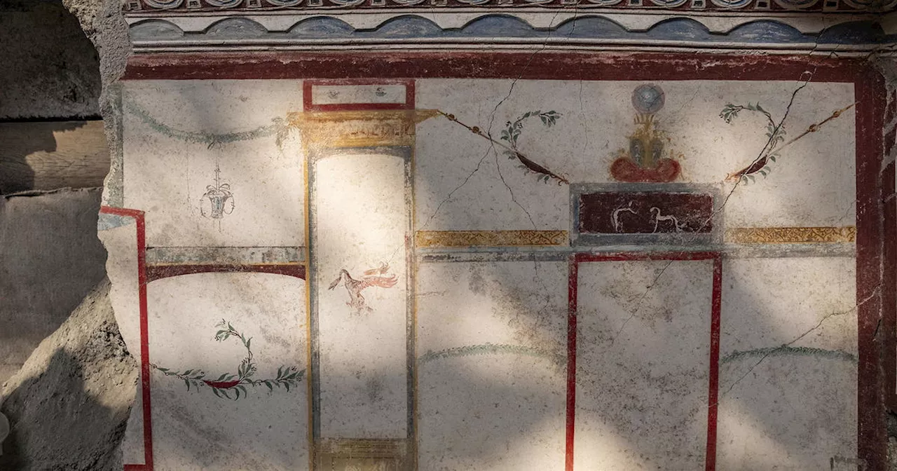 Pompeii archaeologists discover ancient tiny house with elaborate frescoes