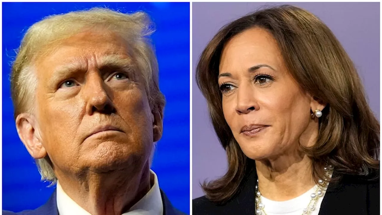 Texas cash fuels Donald Trump, Kamala Harris campaigns