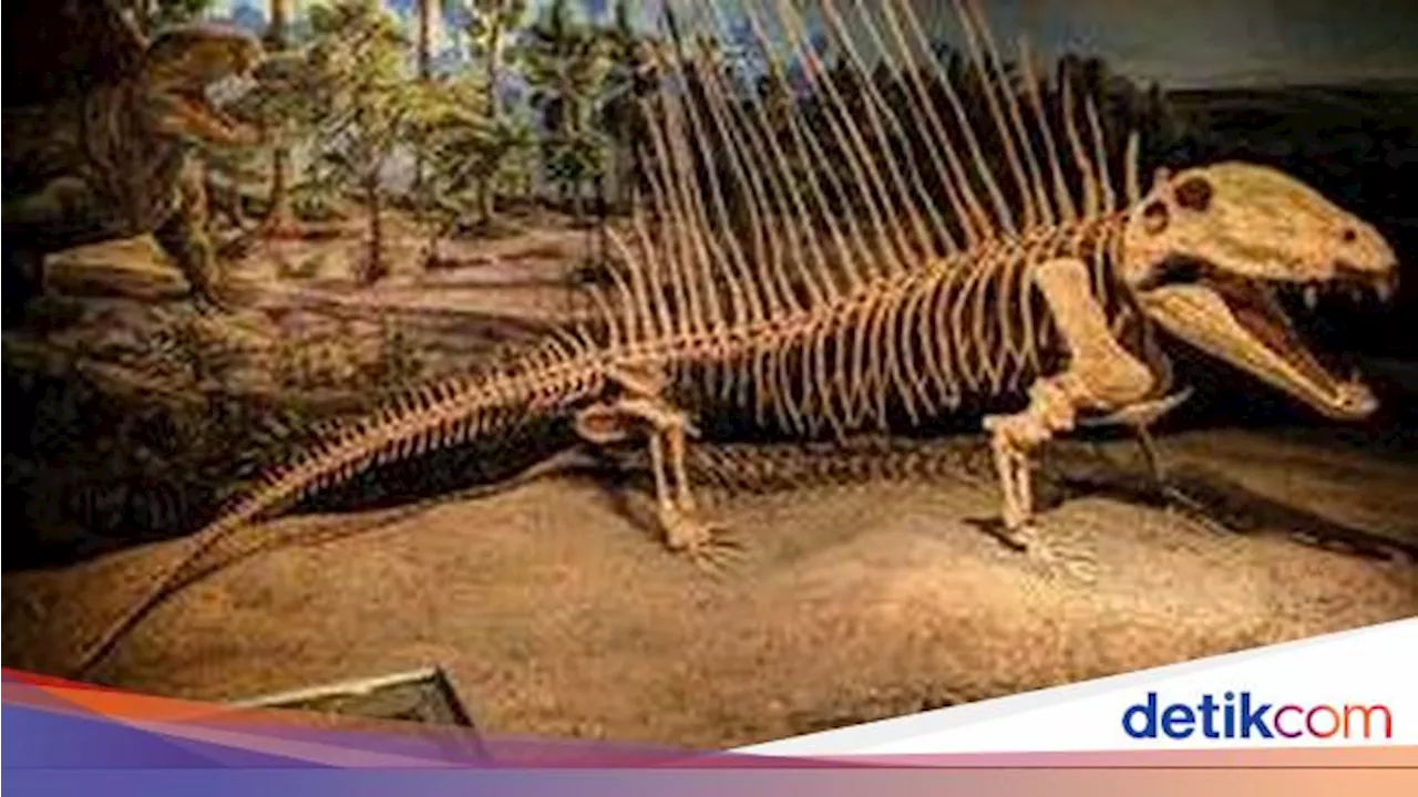 Hewan Ini Jadi Puncak Predator Sebelum Dinosaurus Hadir di Bumi