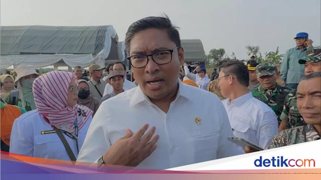 Wamentan Ungkap Arahan Tegas Prabowo: Food Estate Harus Dilaksanakan!