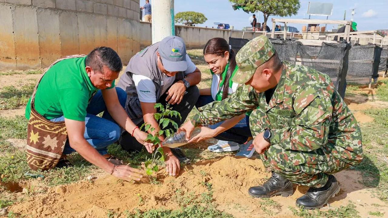 El Ejército Nacional lideró jornada de reforestación en el Cesar y La Guajira