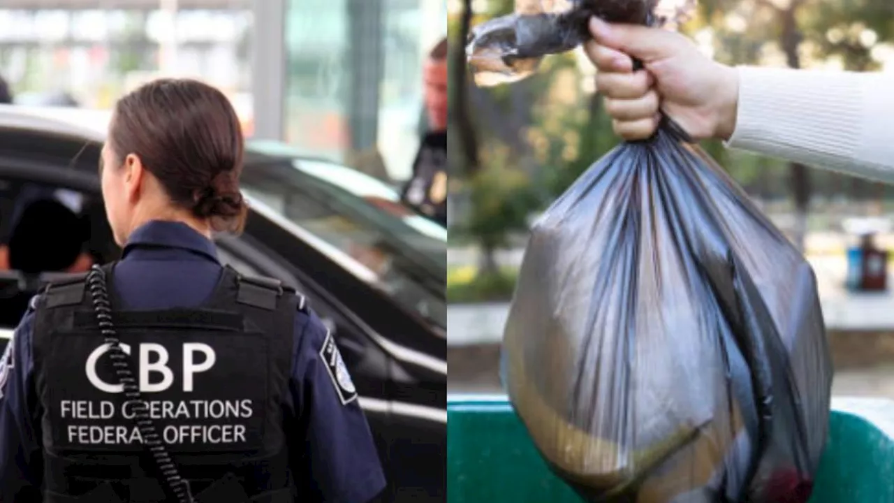 Entraron por California y fingieron llevar bolsas de basura; CBP descubrió algo horrendo