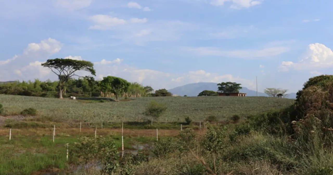 Colombia, sede de la II Conferencia Internacional de Reforma Agraria en 2026