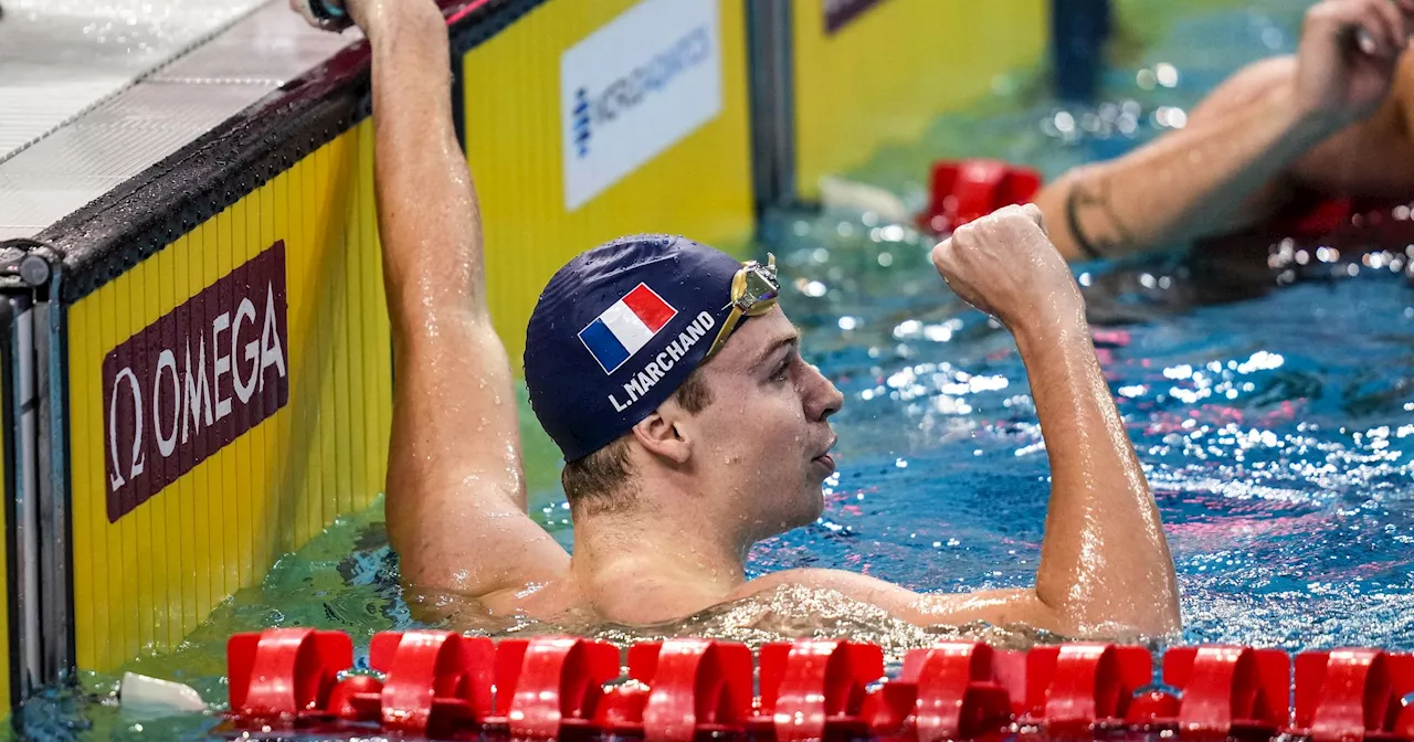 Natation : En Coupe du monde en Asie, Léon Marchand savoure un peu de tranquillité