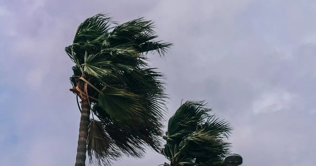 SA Weather Service says Spring storms are moving over SA