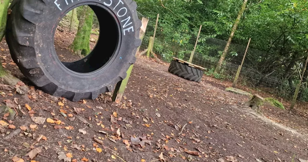 Country park not far from Glasgow delights dog owners with news of enclosed play park opening