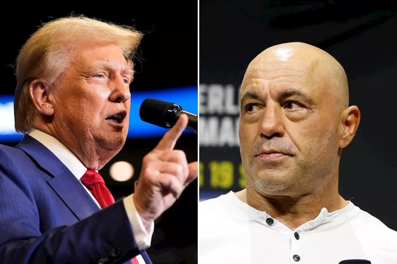 Fact check: Trump repeated false election claims in podcast with Joe Rogan