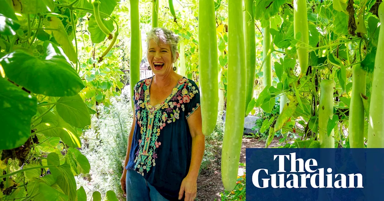 Three things with Sophie Thomson: ‘My infrared thermometer travels with me wherever I go’