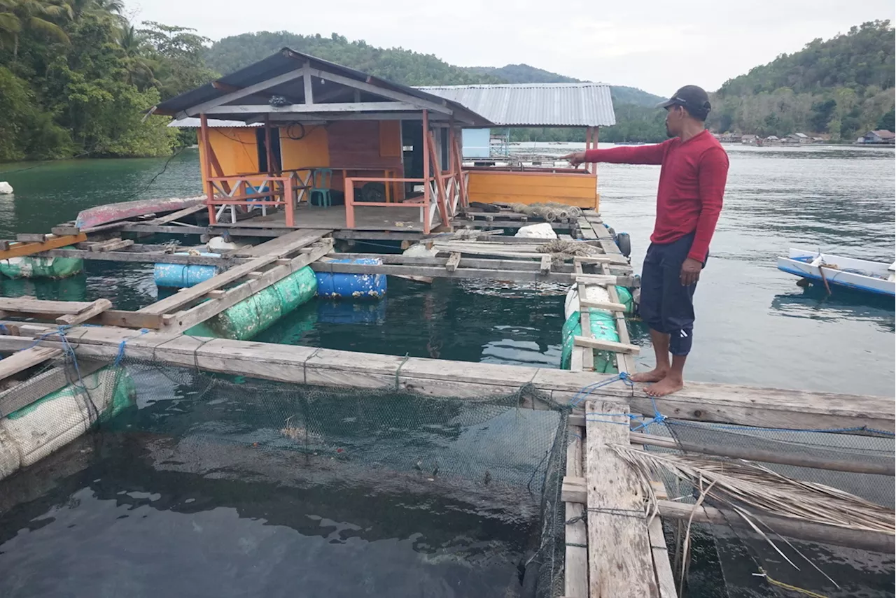 Budidaya Lobster oleh Eksportir Benih Perlu Dievaluasi