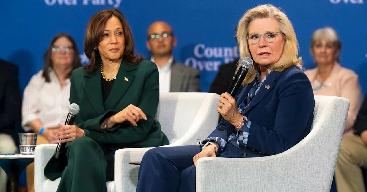 'Pro-Life' Liz Cheney Urges People To Vote For Harris For 'Life-Saving' Health Care