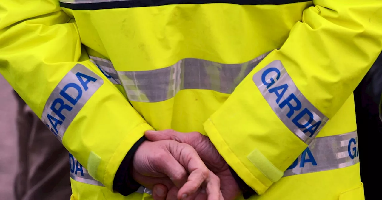 Man and woman arrested after body of young man discovered in Wexford