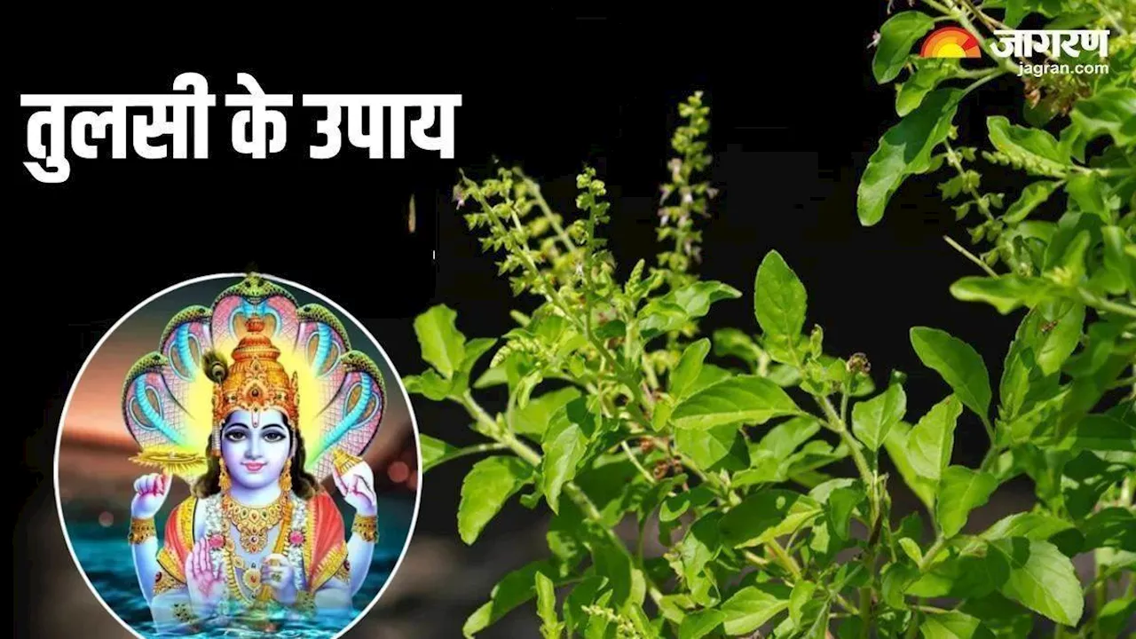 Rama Ekadashi 2024: रमा एकादशी के दिन तुलसी आरती के बाद करें ये उपाय, प्रसन्न होंगे श्री हरि