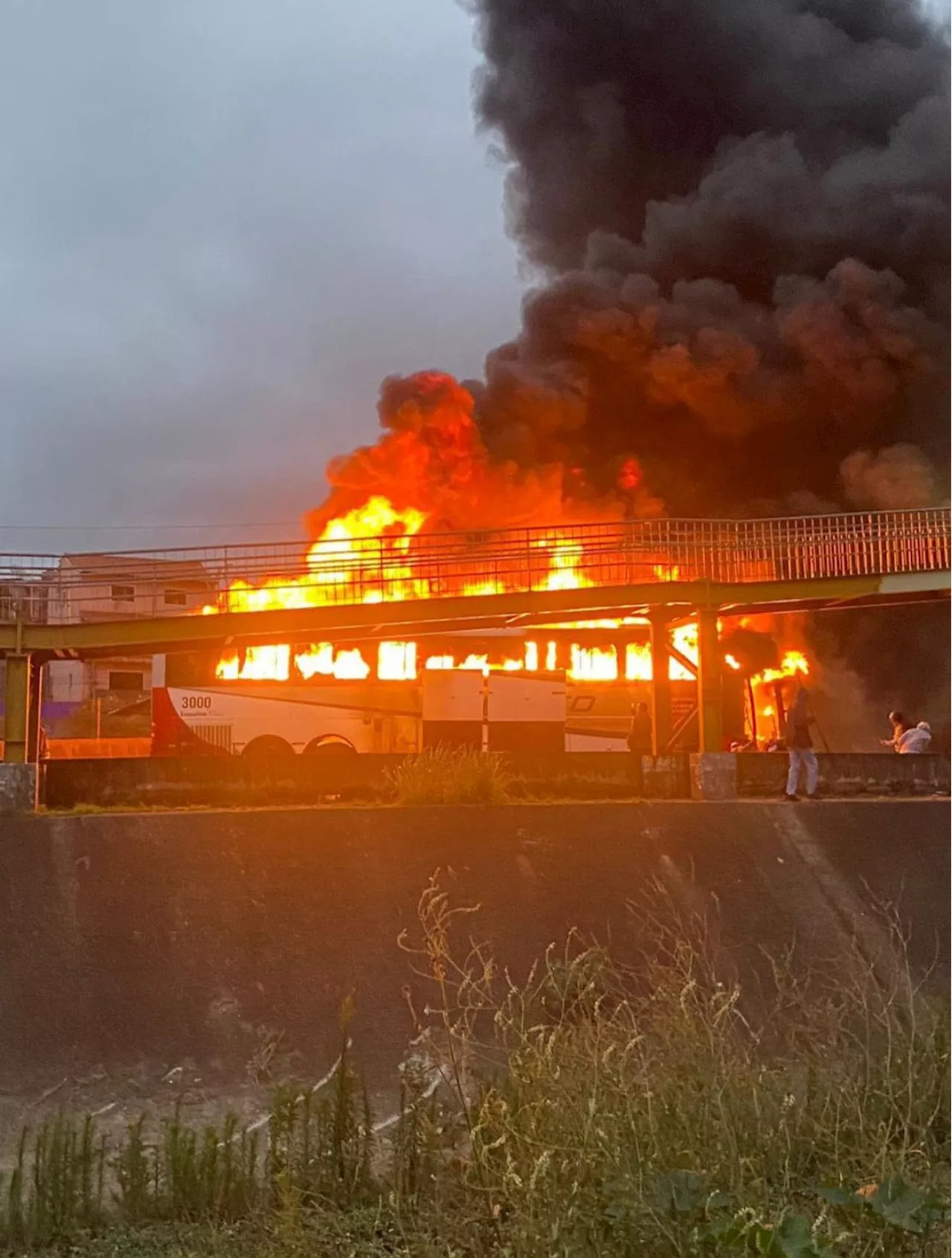 Torcida organizada do Palmeiras usou pregos em emboscada contra torcedores do Cruzeiro; briga deixou um morto