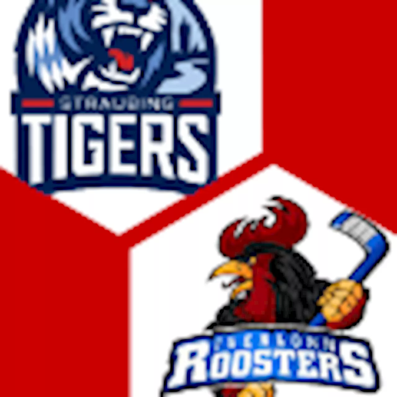 Iserlohn Roosters 1:0 | 13. Spieltag | Deutsche Eishockey-Liga 2024/25