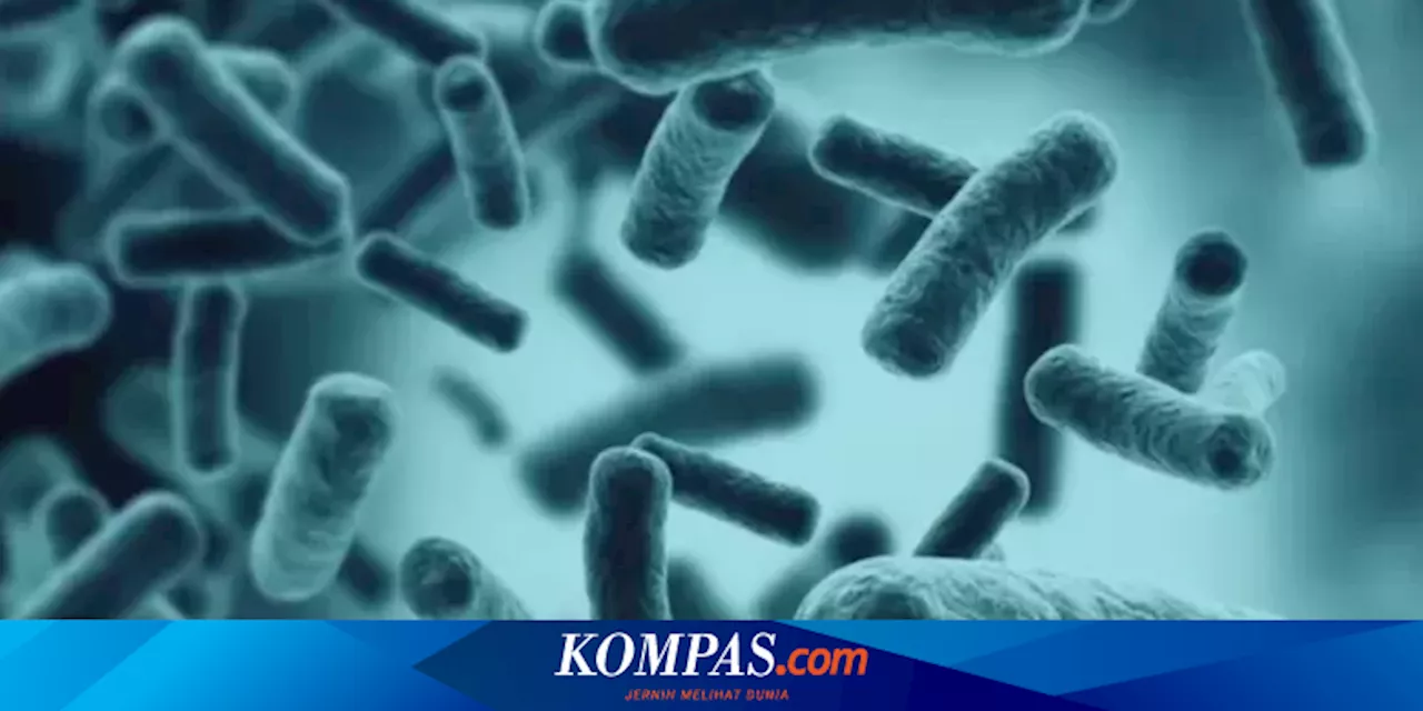 Waspada Makanan yang Tercemar Bakteri E.coli, Bisa Mengancam Nyawa