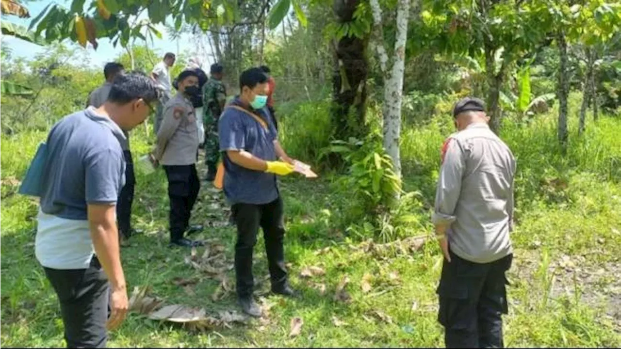 Seorang Ibu di Lombok Tengah Bunuh Bayi Sendiri, Polisi: Pelaku Melahirkan Seorang Diri di Kebun