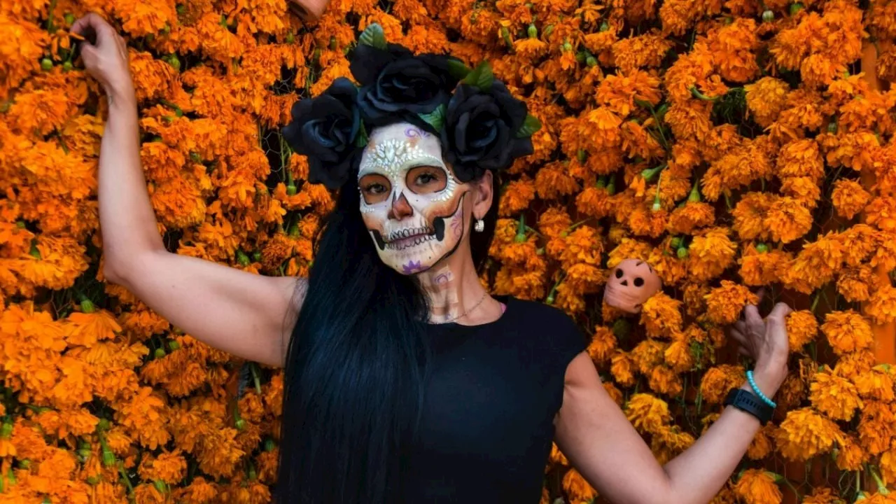 Día de Muertos 2024: La leyenda de amor detrás de la flor de cempasúchil y la razón para colocarla en las ofrendas