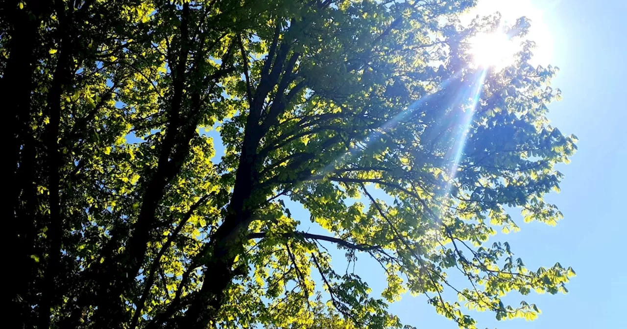 CLIMA en CÓRDOBA: cómo estará la TEMPERATURA este DOMINGO 27 DE OCTUBRE