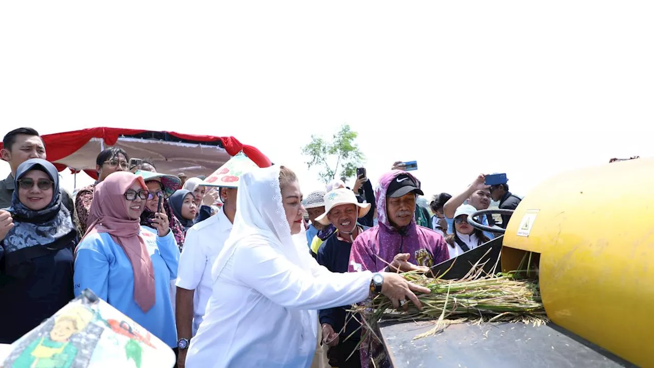 Pemkot Semarang dan BRIN Siap Jadikan Semarang Pionir Budidaya Pangan Berkelanjutan