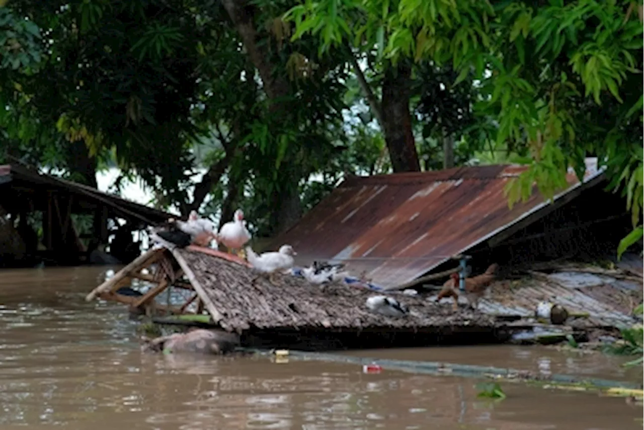 Flood warnings and airport shutdowns follow Storm Trami’s arrival in Vietnam