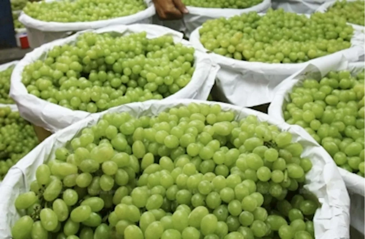 Ministry to investigate reports of chemical residues in imported ‘Shine Muscat’ grapes