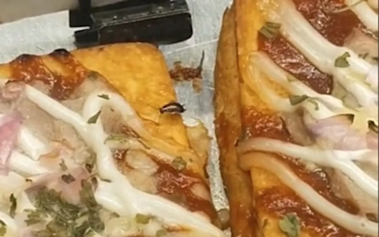 Viral video of cockroach in pastries at a Shah Alam bakery belonging to a popular chain has social media bugging out