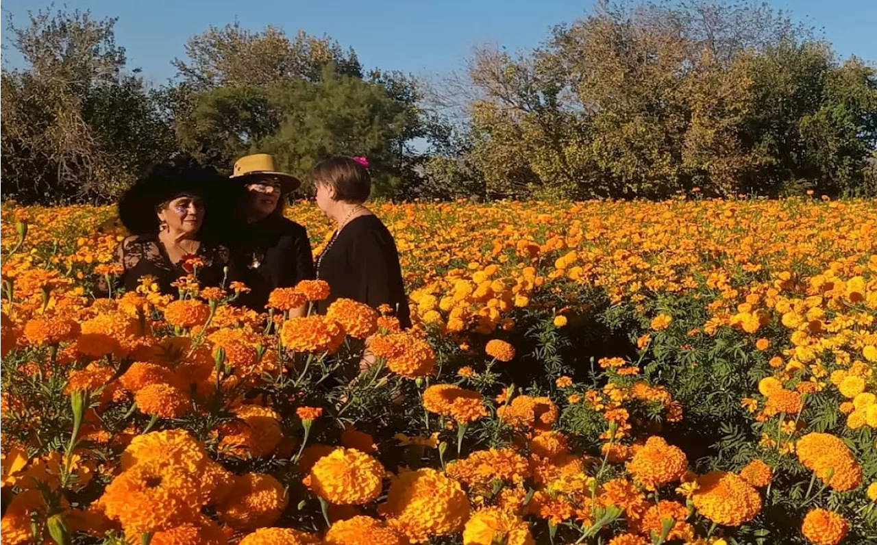 Celebran Festival de las Flores en Lerdo entre catrinas y antojitos mexicanos