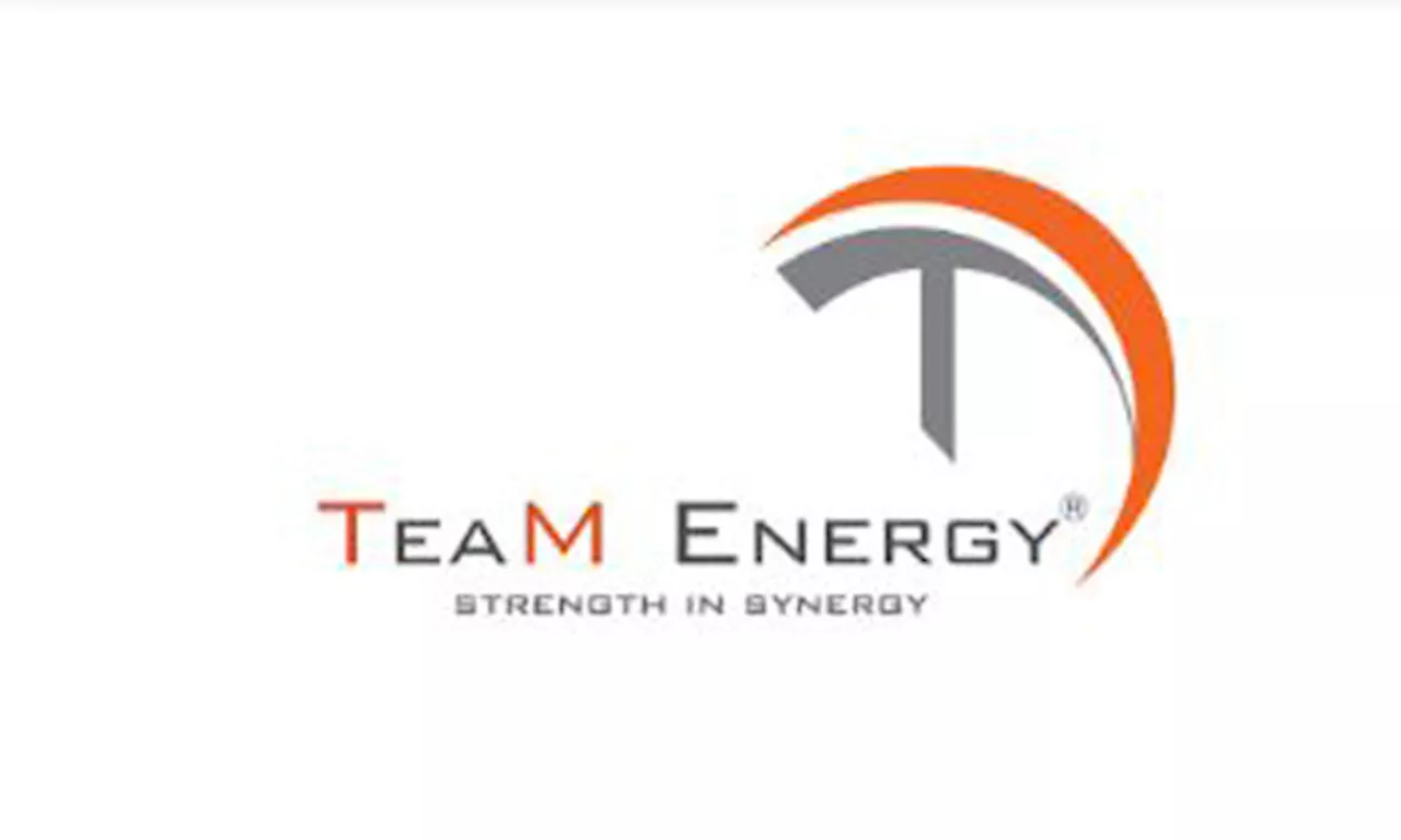 TeaM Energy turns over Sual plant to gov’t